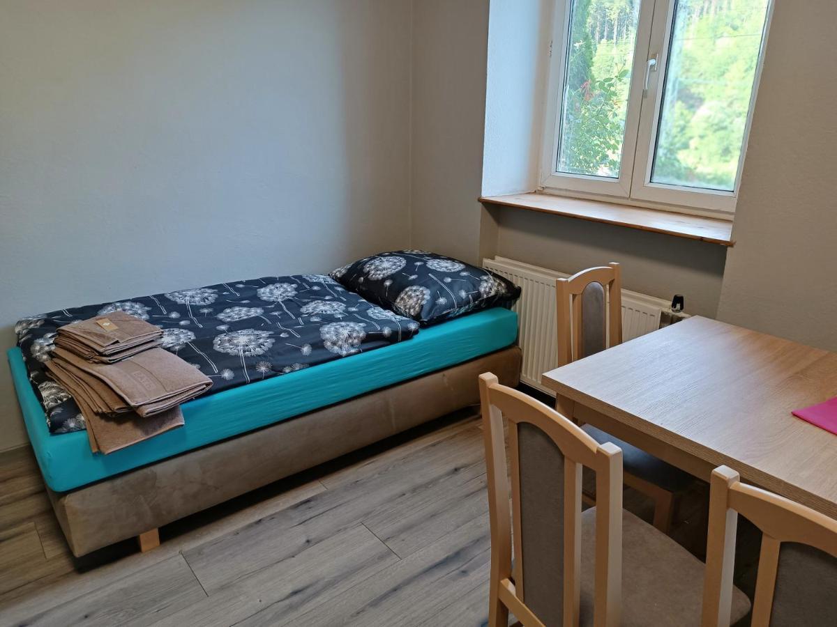 Dolni Zleb 124 Apartment เดชชิน ภายนอก รูปภาพ